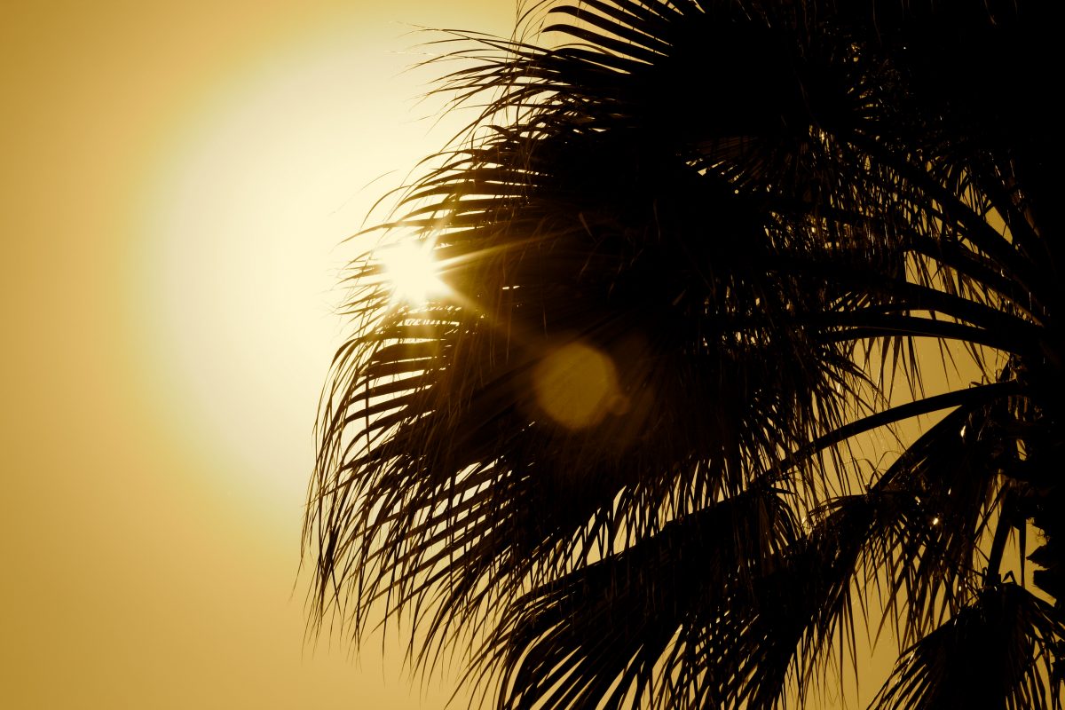Weather in Palm Springs, California Weather in Palm Springs, California