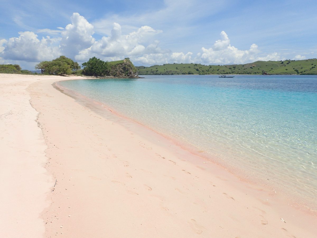 A view of the shoreline on Pink Beach, Komodo Island, Indonesia