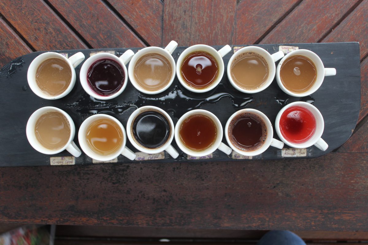 Coffee luwak tasting in Ubud Bali Coffee luwak tasting in Ubud Bali