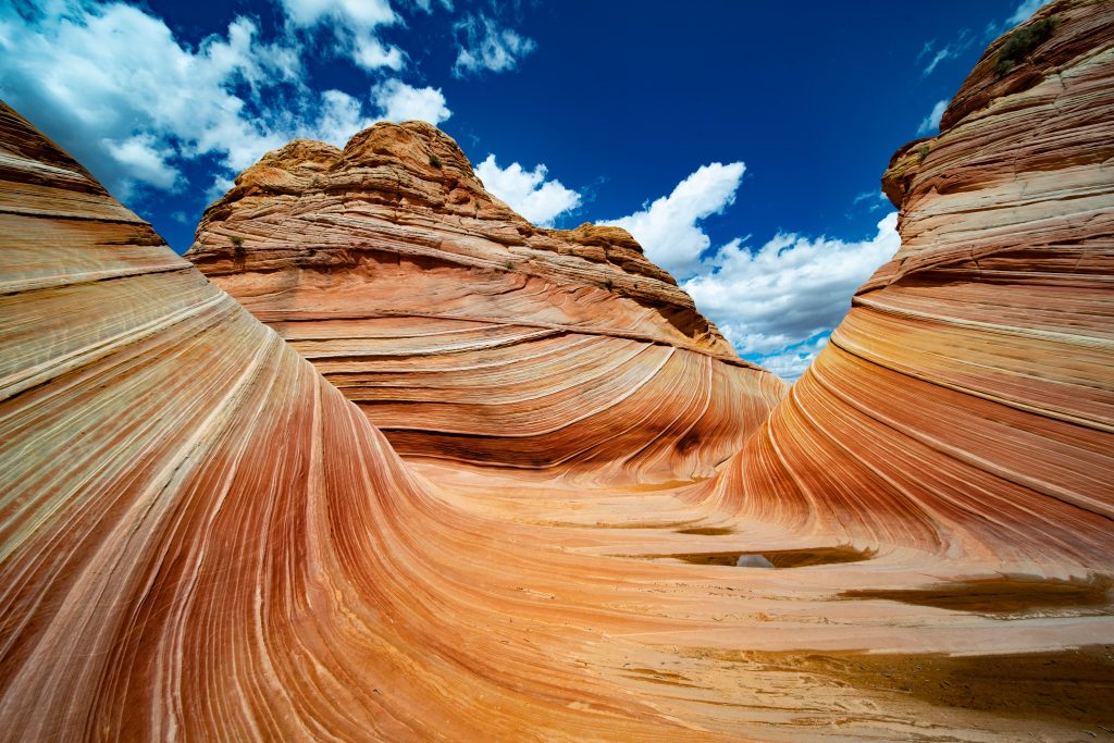 Top 11 MustVisit National Parks in Arizona, U.S.A. TouristSecrets