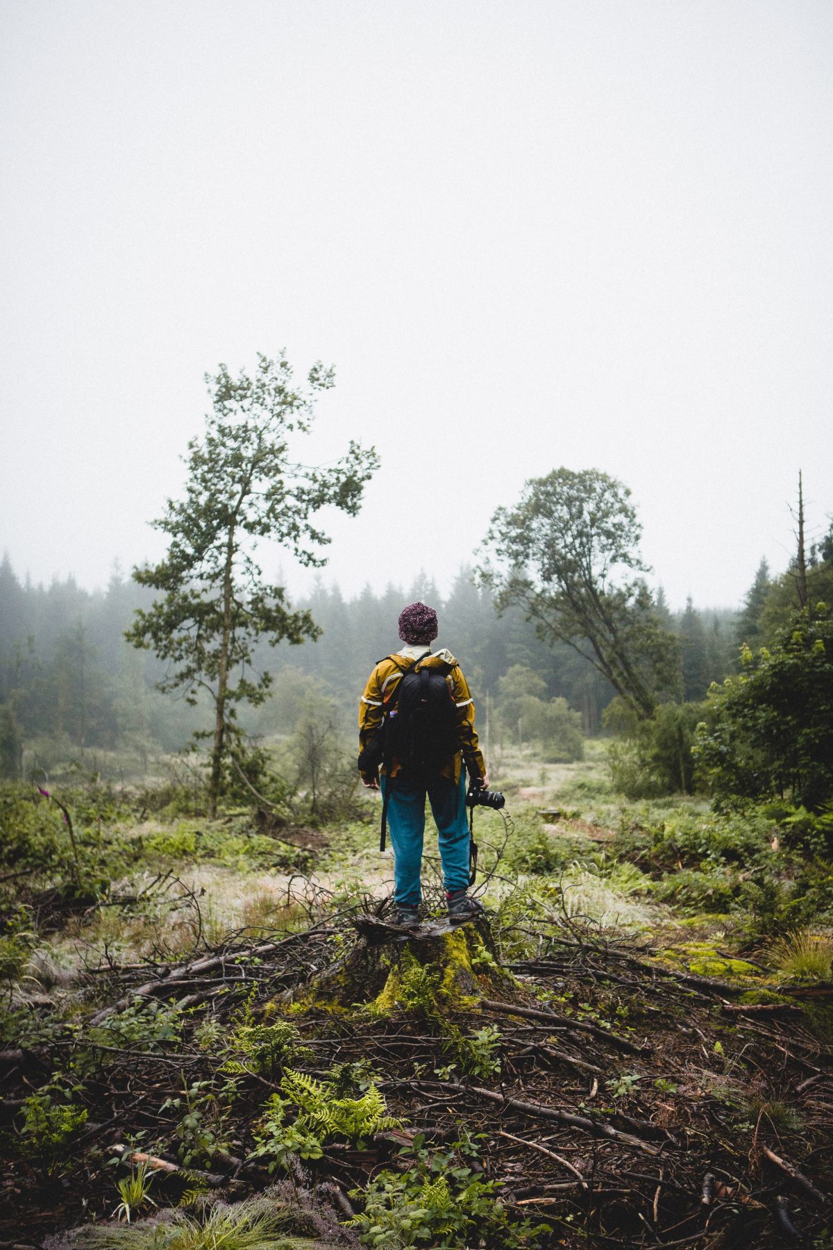 Why You Need A Trail Camera On Your Next Vacation samuel thompson pjk1OPA0YM4 unsplash - Why You Need A Trail Camera On Your Next Vacation