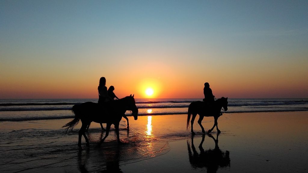 Horse riding on the beach