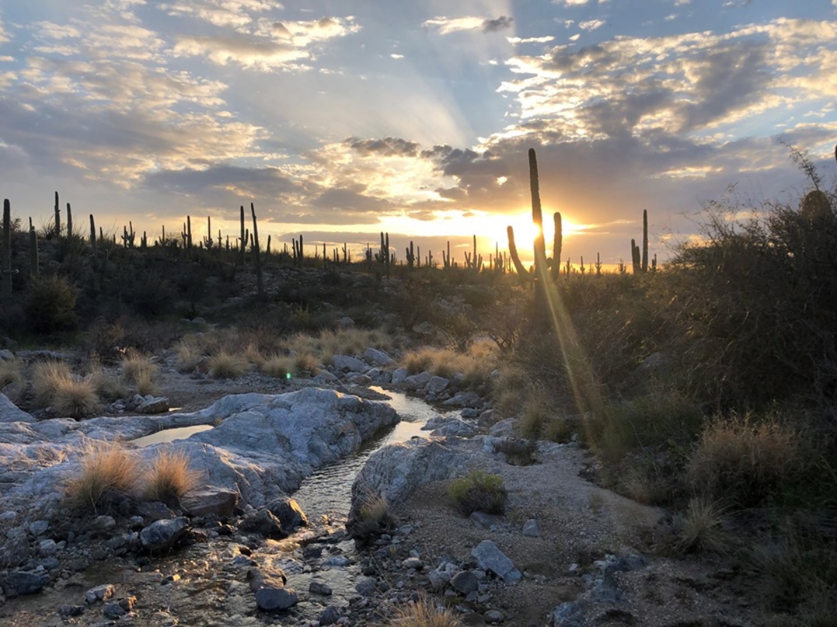 Tanque Verde Ranch, Arizona