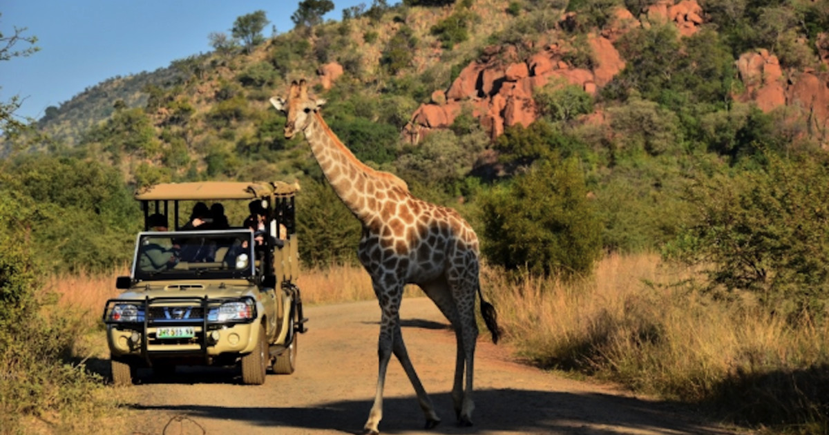 South Africa Gardens, Nima Lodge, Pilanesberg National Park, South Africa Tourism