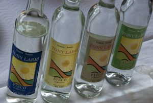 Pisco, Peru's National Drink