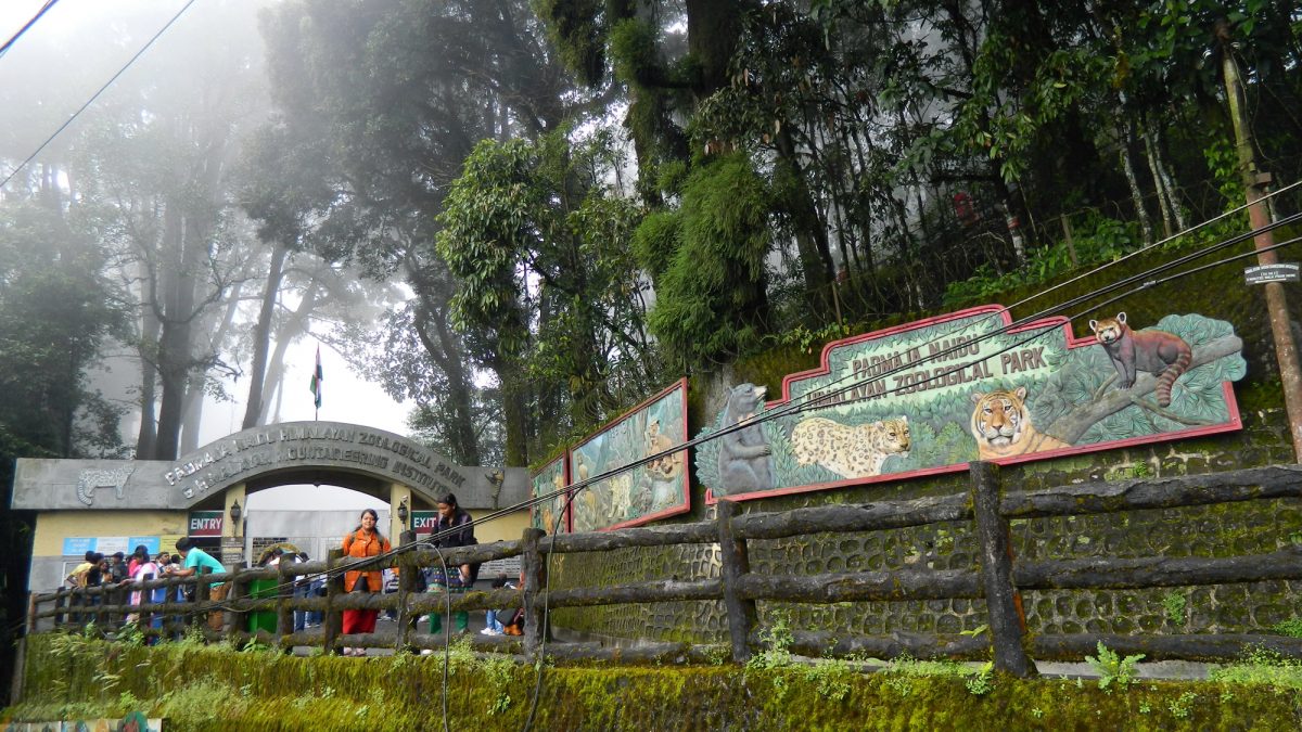 Padmaja Naidu Himalayan Zoological Park, Darjeeling