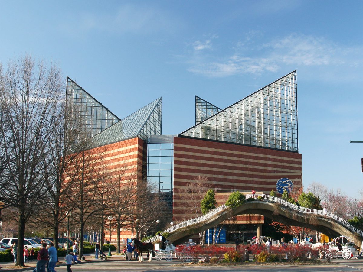 Tennessee Aquarium