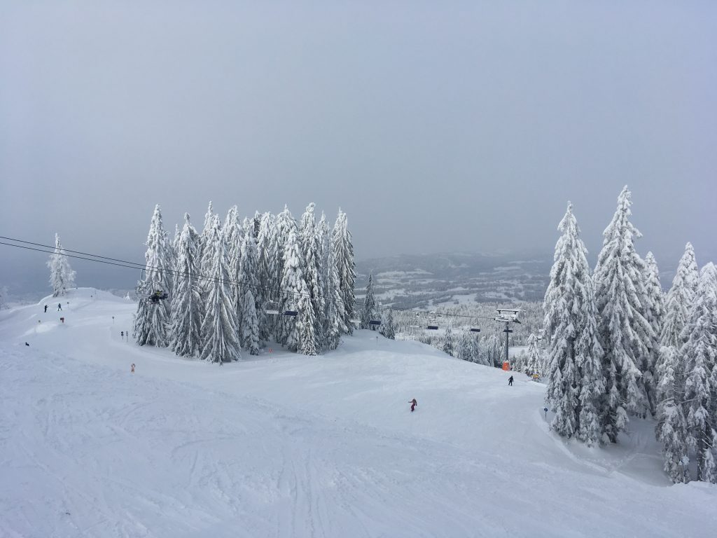 Ski resort Ski resort