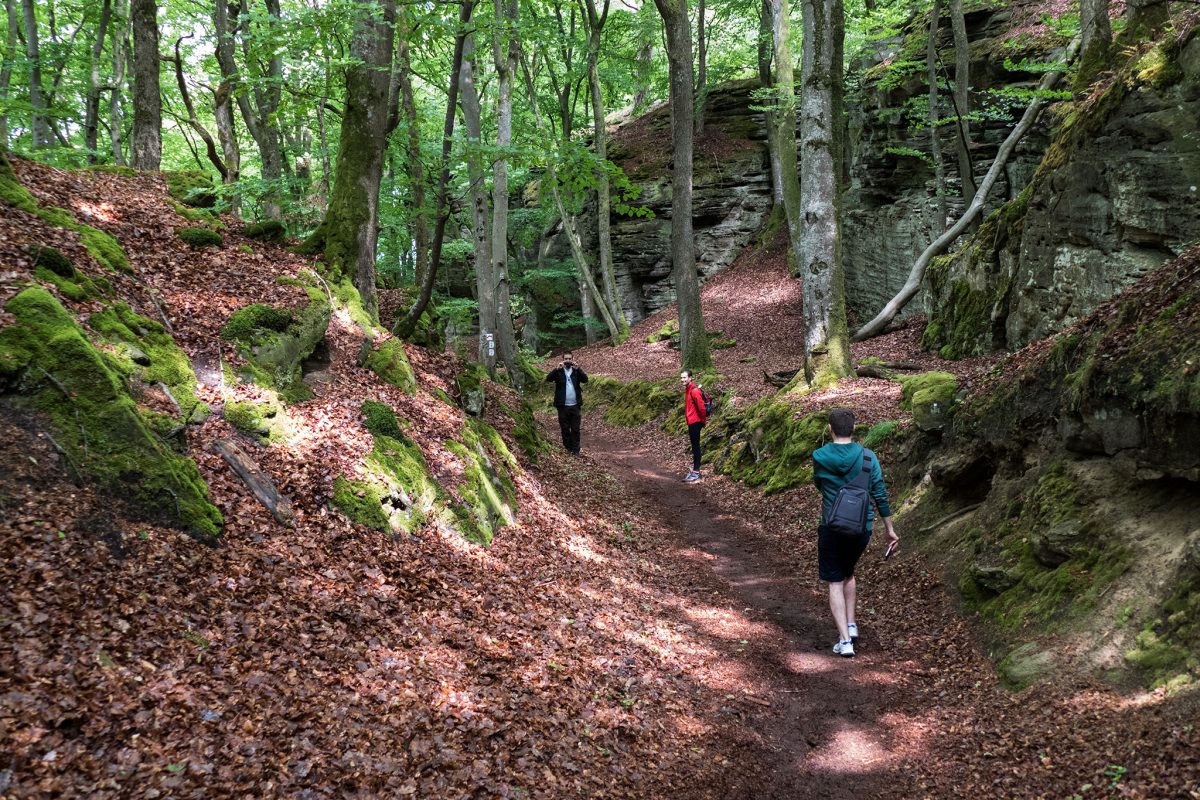 Hiking lovers can also find their paradise in Luxembourg. Mullerthal Trail is 112km long and it contains three big paths. 