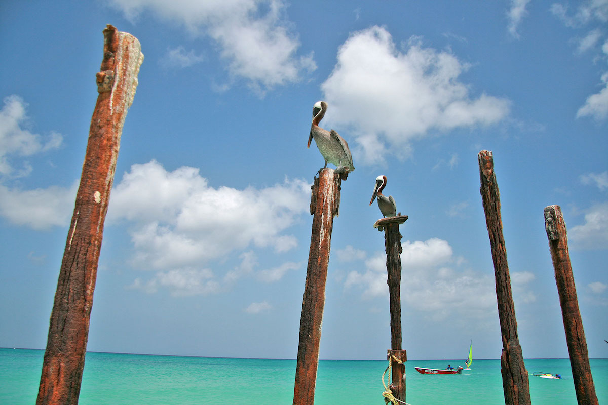 Eagle Beach, Aruba