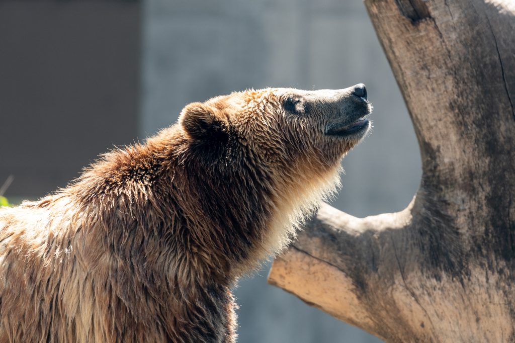 Henry Vilas Zoo Madison