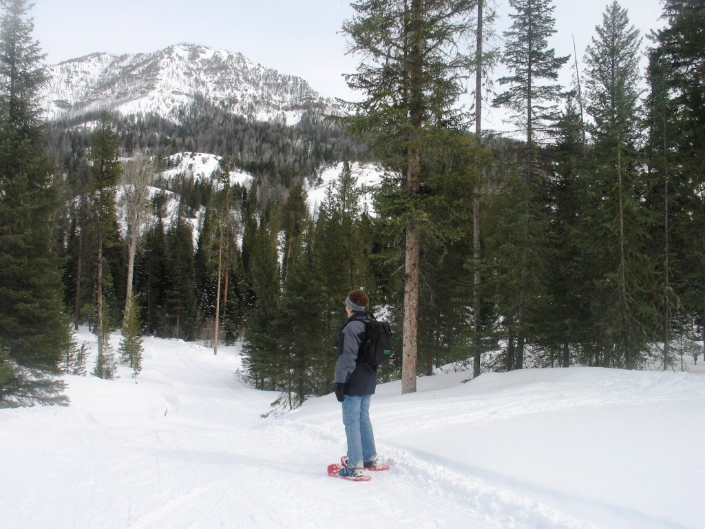 Skiing Wyoming