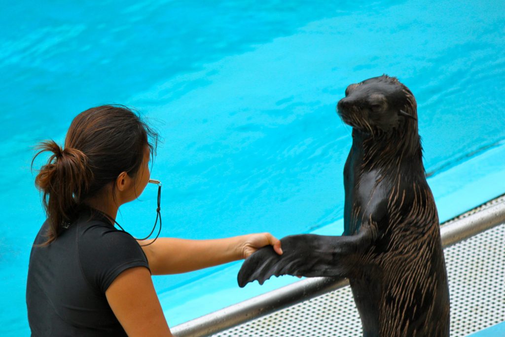 Aquarium SG