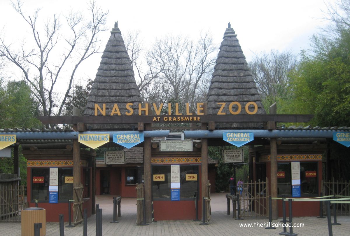 Nashville Zoo, Things To Do In Nashville