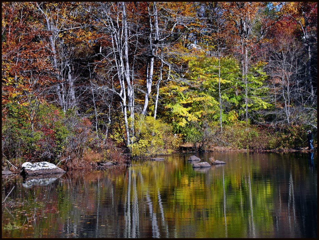 Devil's Connecticut