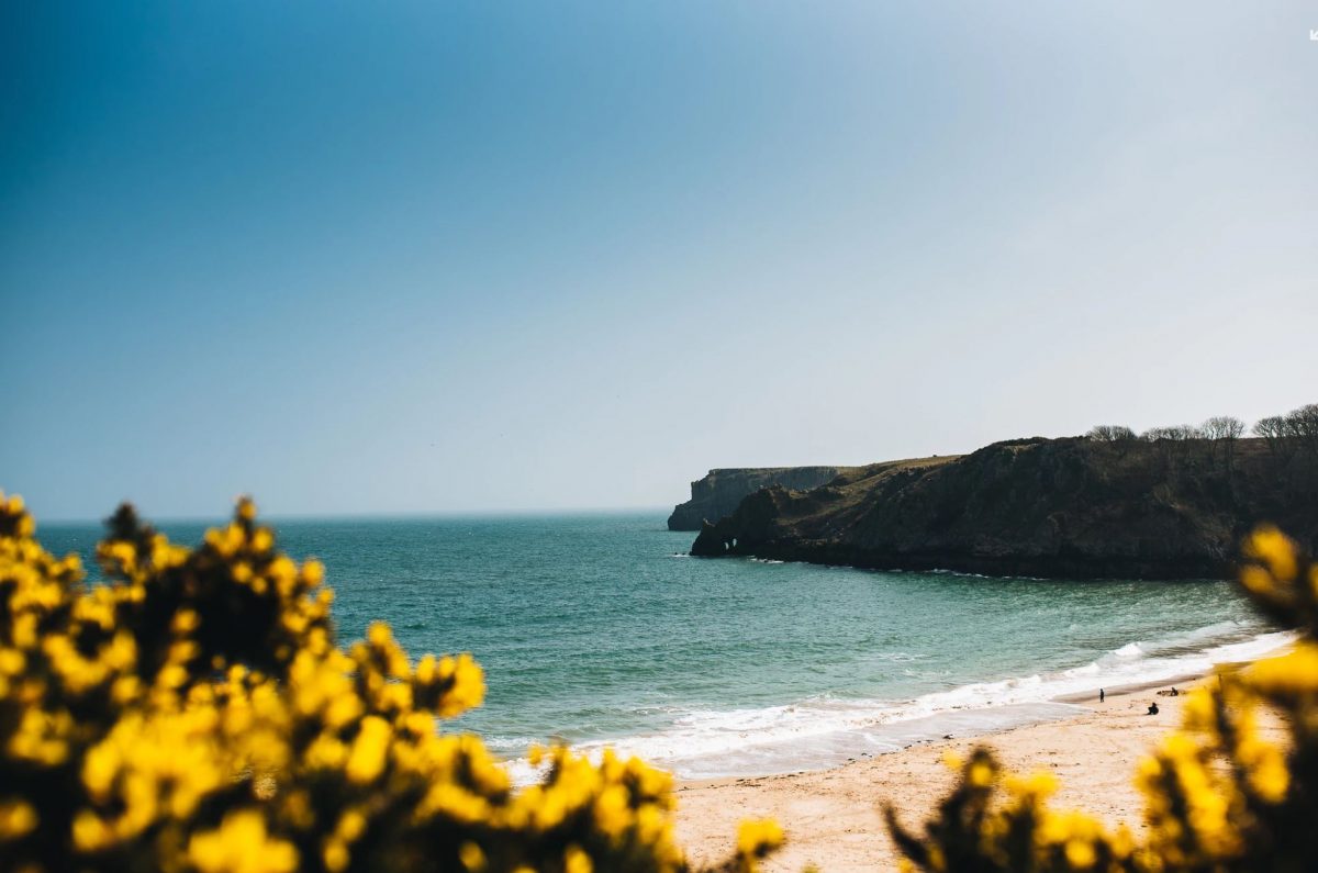 Barafundle Bay