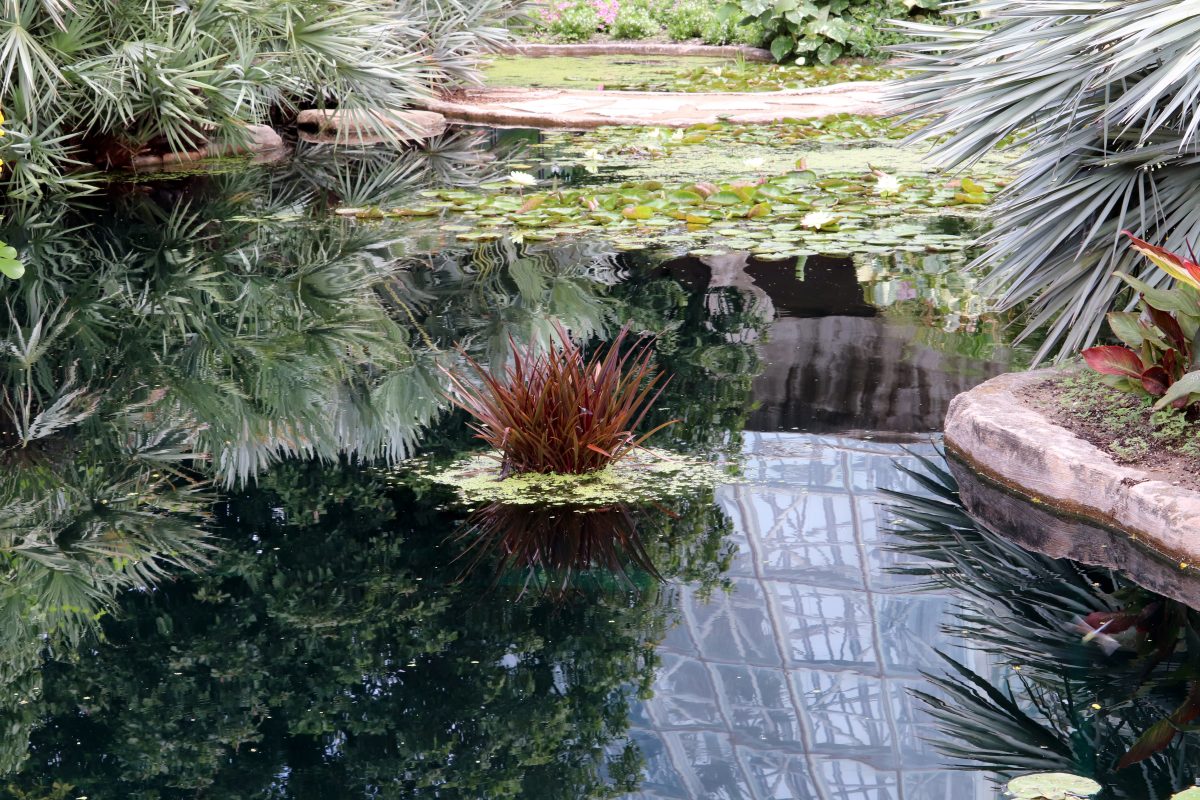 Botanical Garden, Things To Do In San Antonio