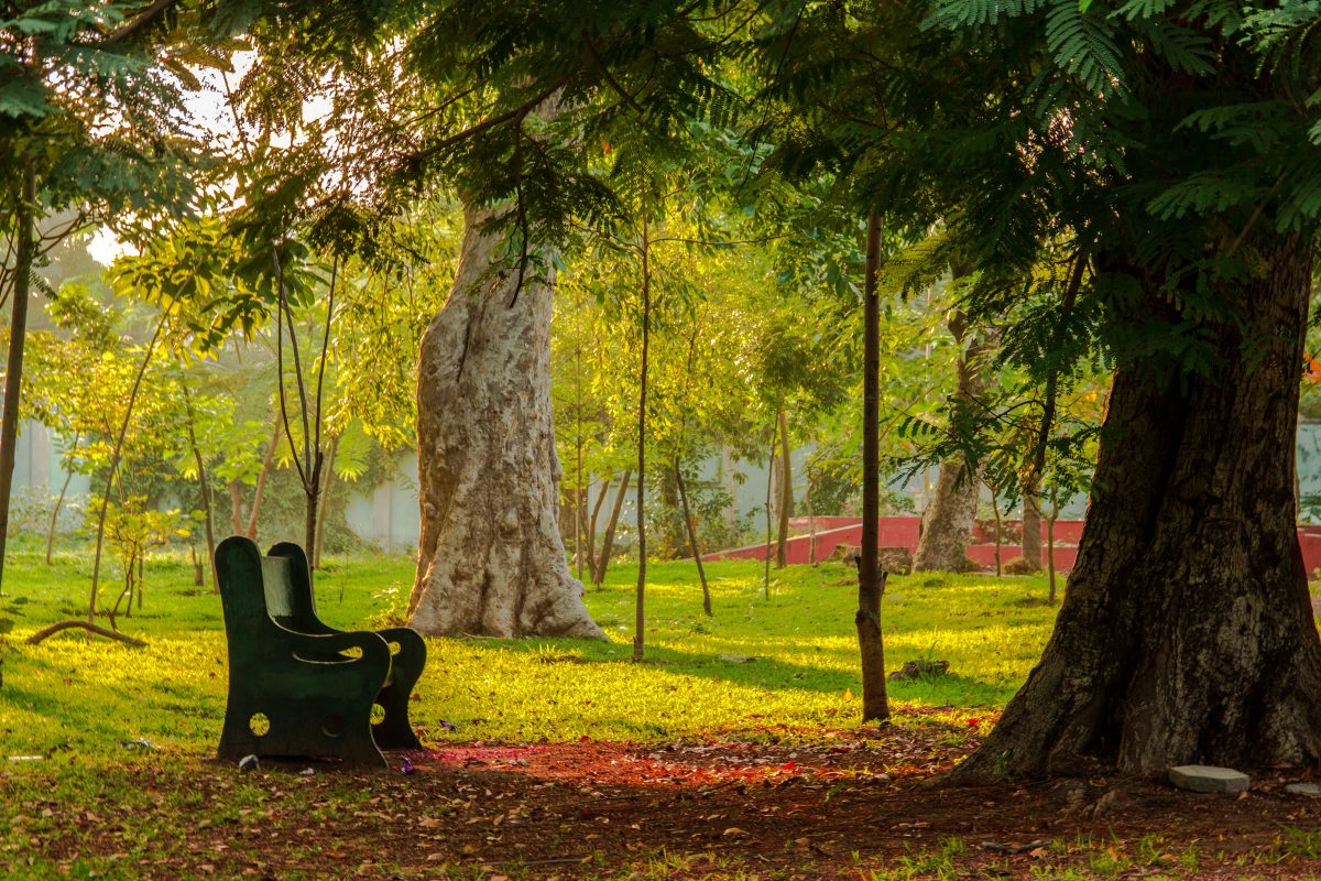 Botanical_Garden-Pondicherry