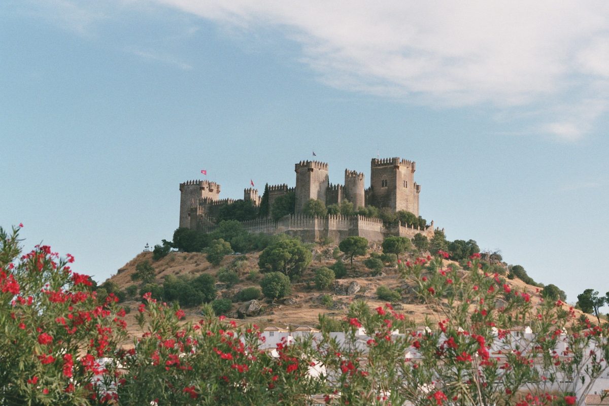Its location on a hill 250 meters high near the Guadalquivir River gives the Castillo de Almodóvar del Río its strategic value. Its location on a hill 250 meters high near the Guadalquivir River gives the Castillo de Almodóvar del Río its strategic value.