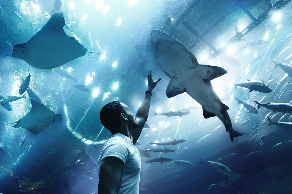 Dubai Aquarium