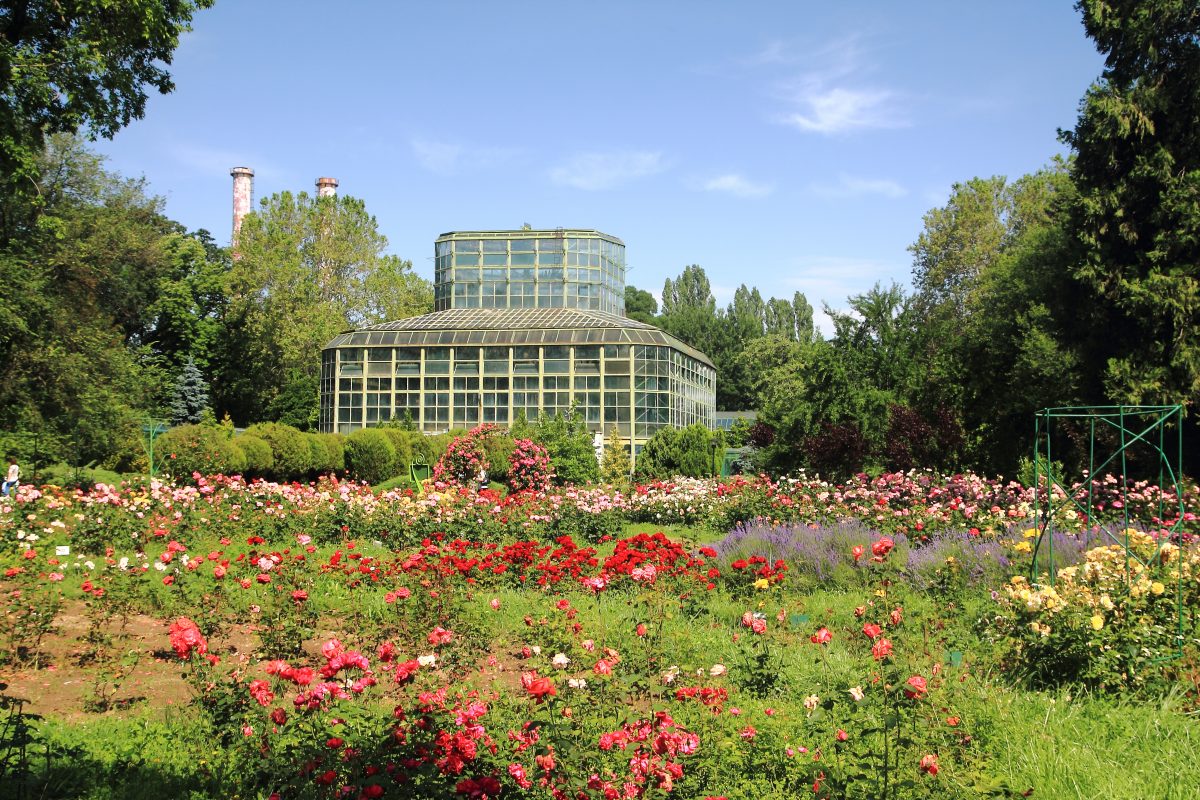 This botanical garden was founded in 1860, and it's under the ownership of the University of Bucharest since 1874. This botanical garden was founded in 1860, and it's under the ownership of the University of Bucharest since 1874.