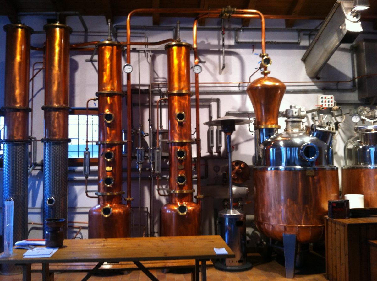 Grappa All You Need To Know About Italy's National Drink TouristSecrets