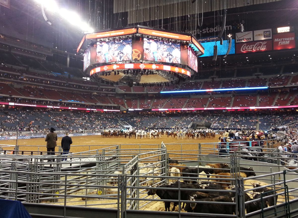 The Houston Livestock Show And Rodeo are annually being held every March in NRG Stadium in Houston, and it lasts for 20 days.