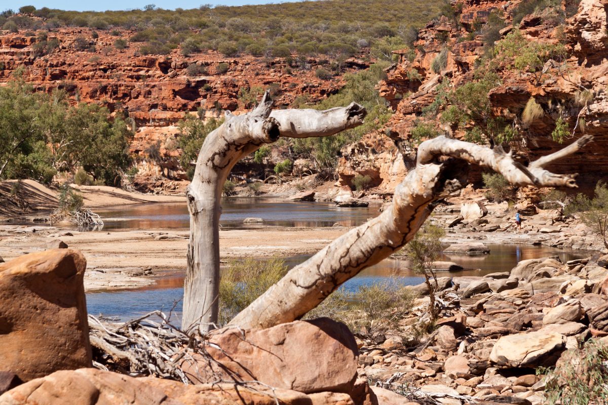wood, rock, kalbarri national park wood, rock, kalbarri national park