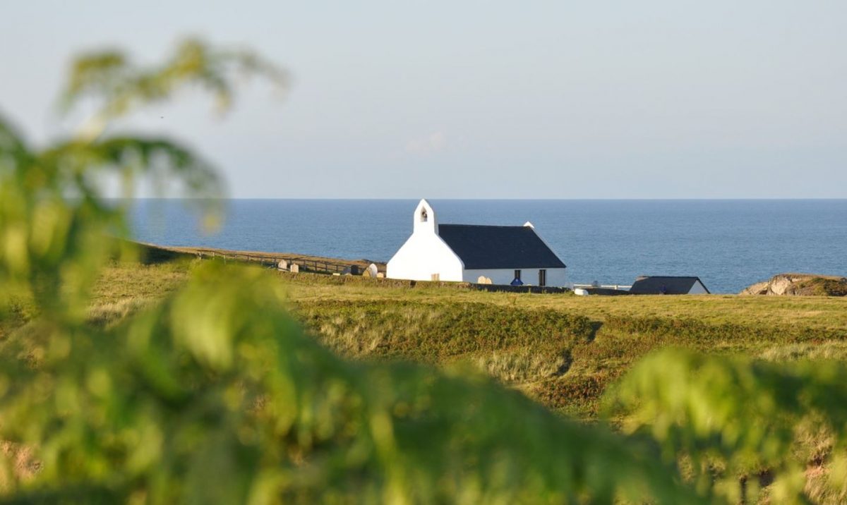 Mwnt