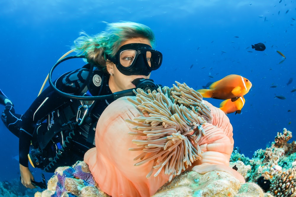 Dive Scuba Dive Scuba