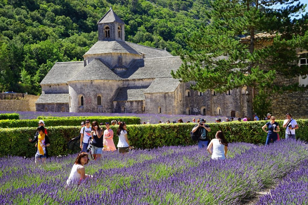 lavender, people, provence