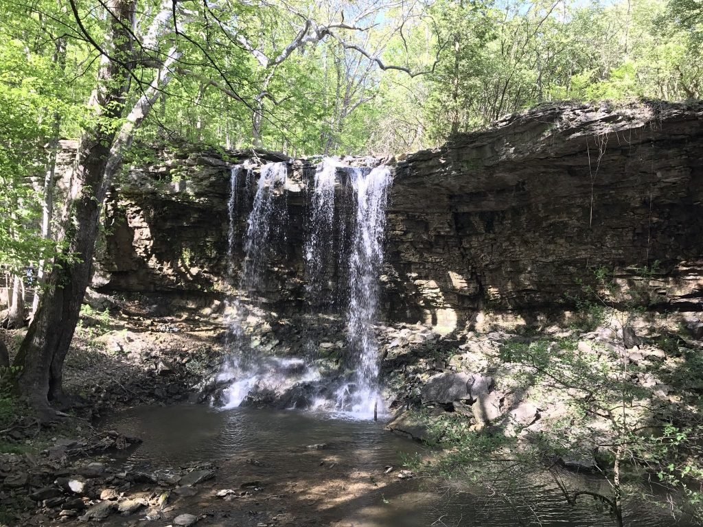 Charleston Waterfall