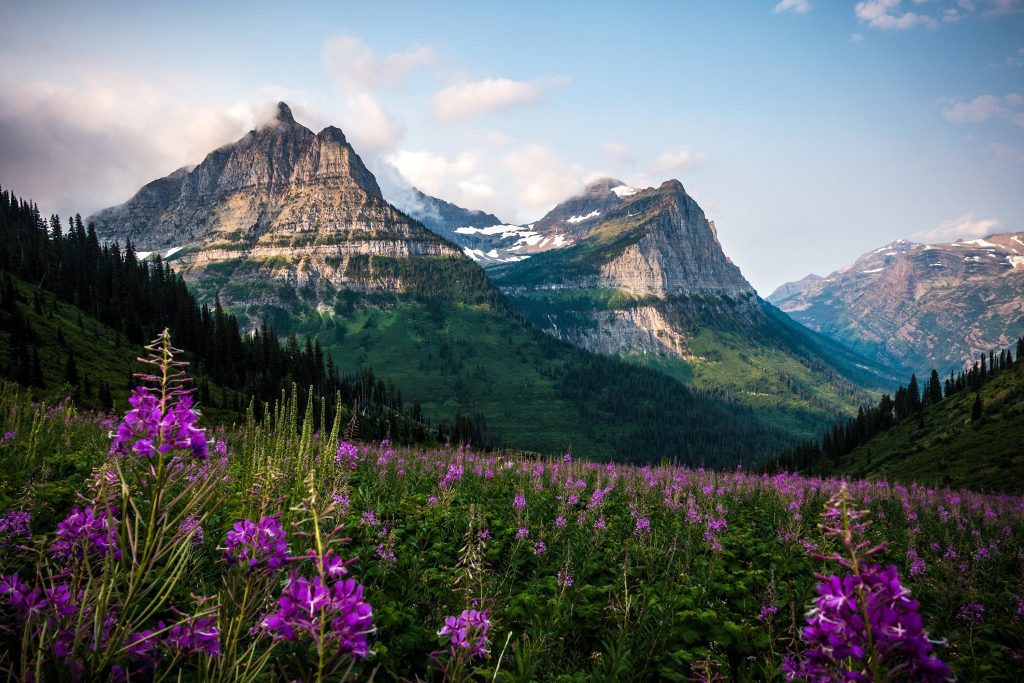 Expert's Guide On What To Expect From Glacier National Park Weather