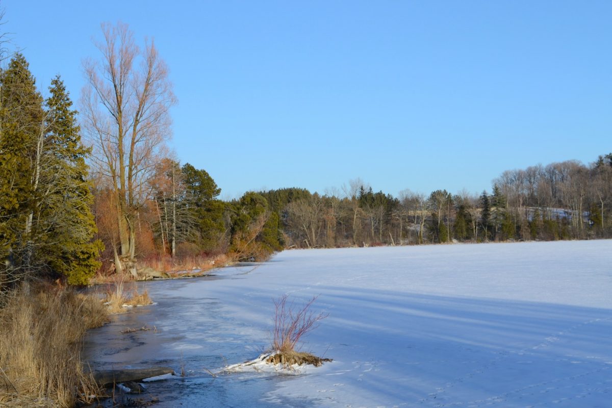 Ice Fishing, US