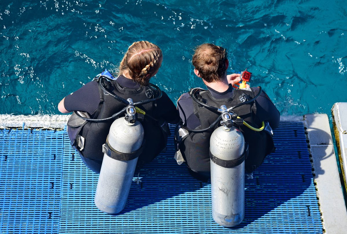 diver preparing to dive in Australia's Great Barrier Reef diver preparing to dive in Australia's Great Barrier Reef