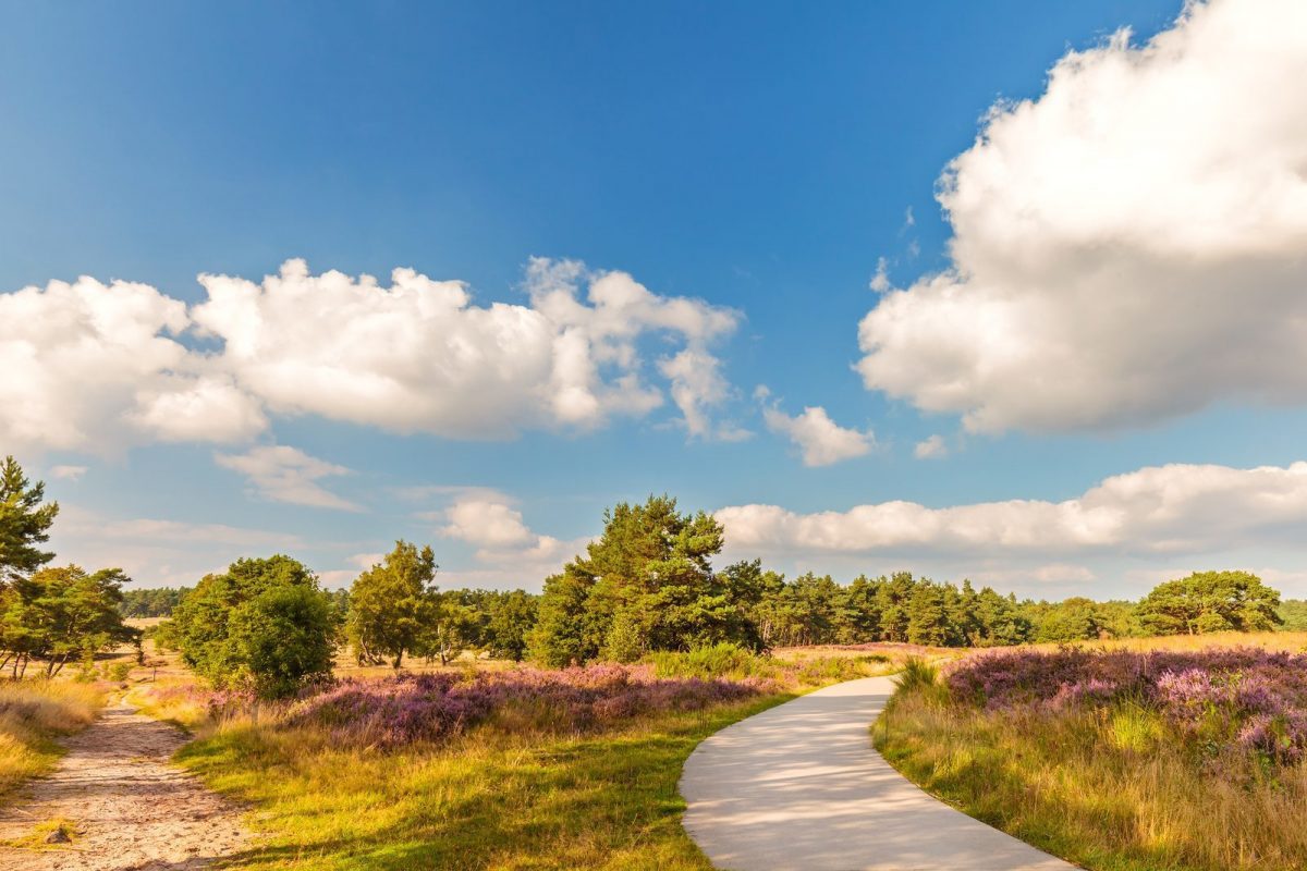 tour haute veluwe