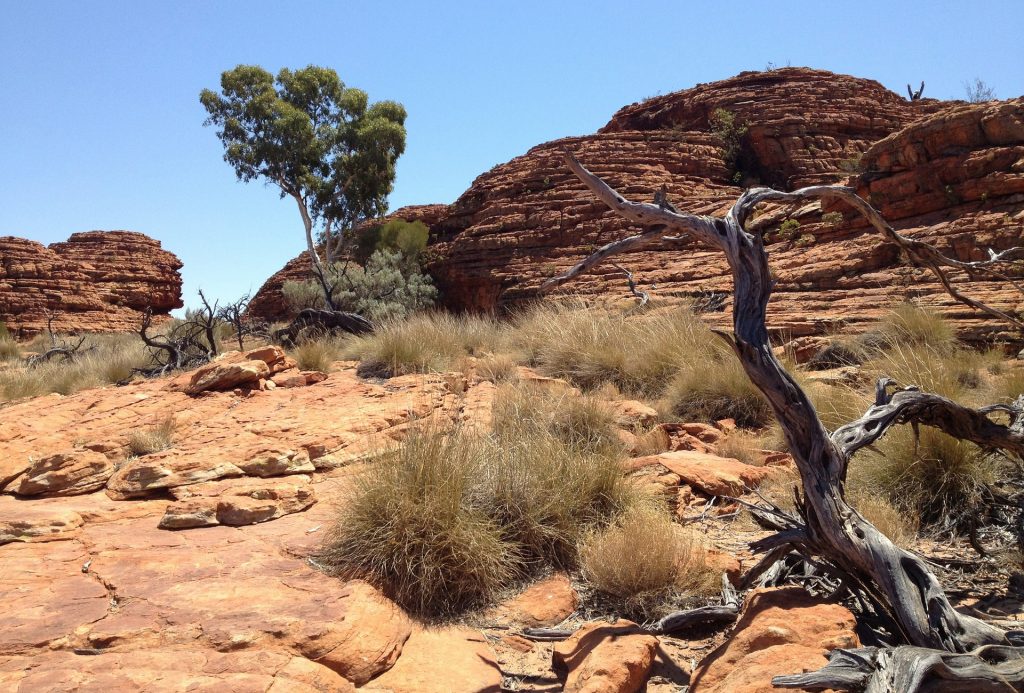 Australian Outback Australian Outback