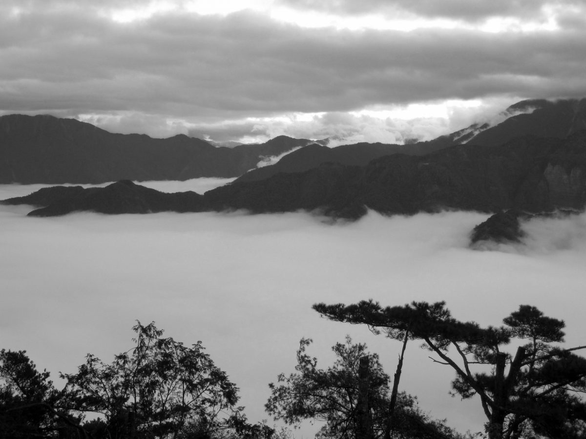 alishan, chiayi, cities in taiwan