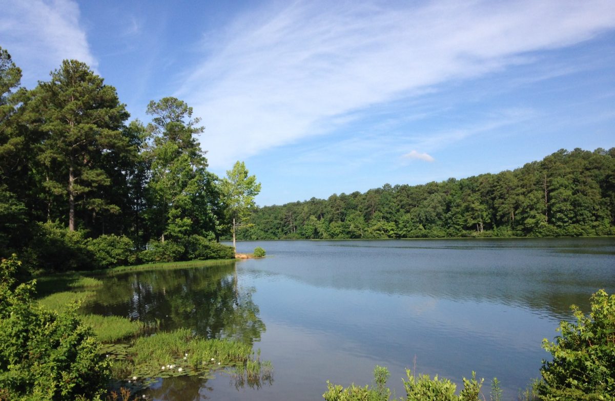 Oak Mountain State Park is an Alabaman haven for hikers, mountain bikers, and any person looking to escape to nature. 