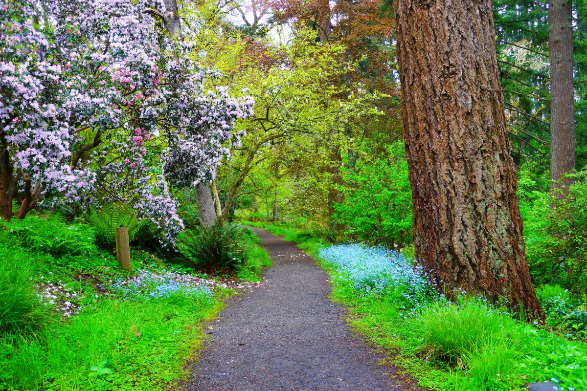 Oregon State Parks