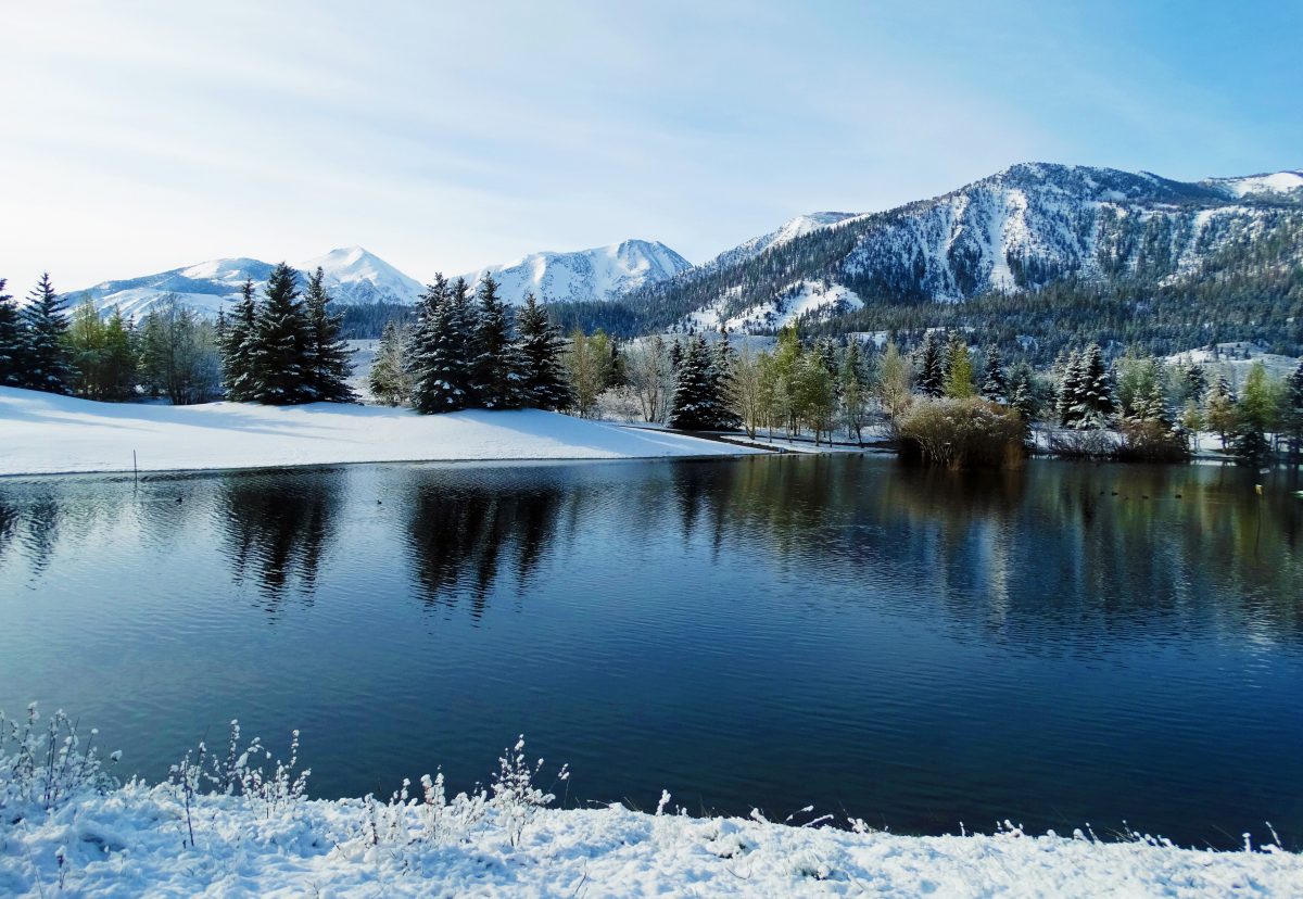 Winter vacation Winter