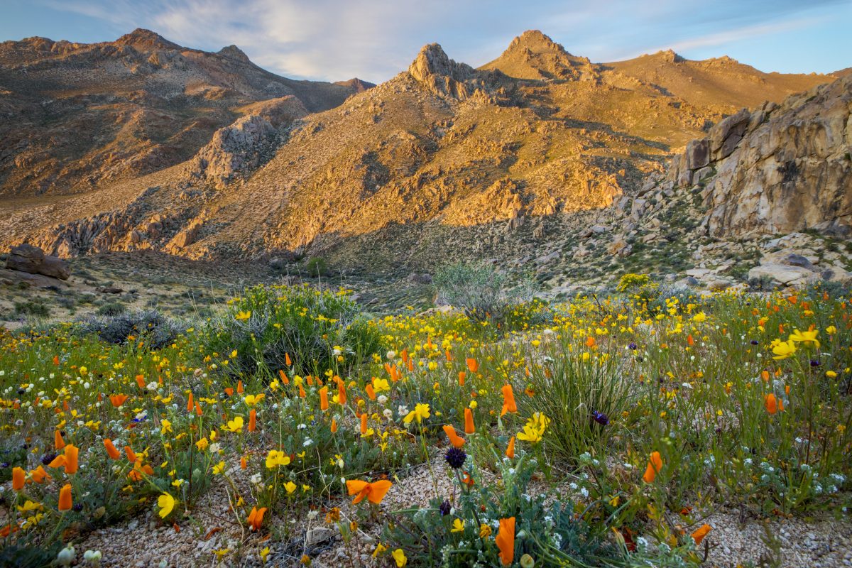 Scenic Pacific Crest Pacific Creast