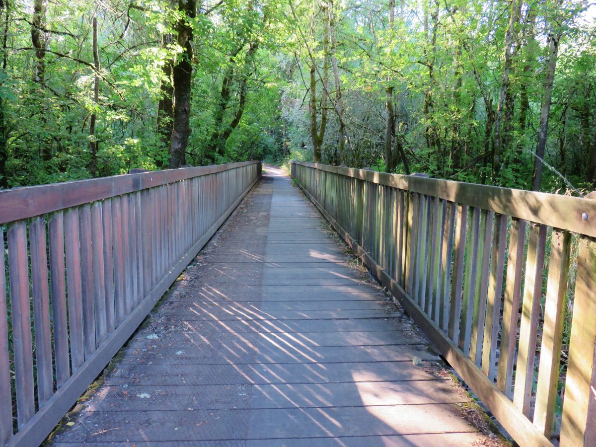 Minto Brown Island Park is the largest, lushest and greenest park in Salem. 