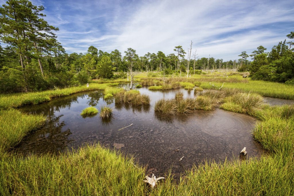 State Park