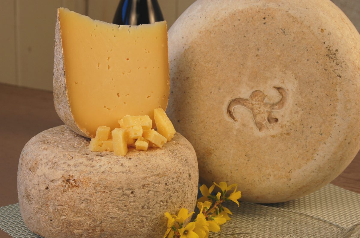 Situated in beautiful lush green Willamette Valley, the Willamette Valley Cheese Company is the perfect place to taste the many products of this award-winning cheese brand.