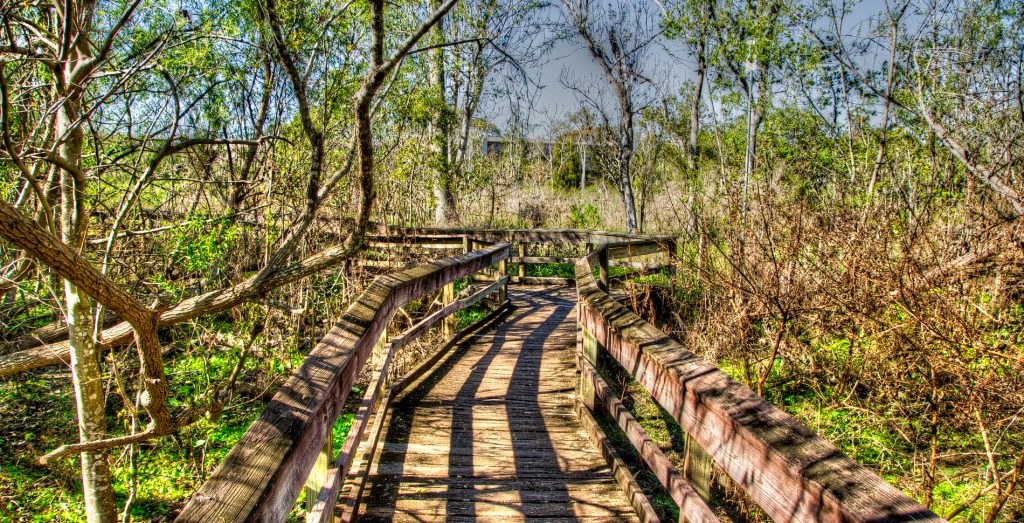 Florida Trail