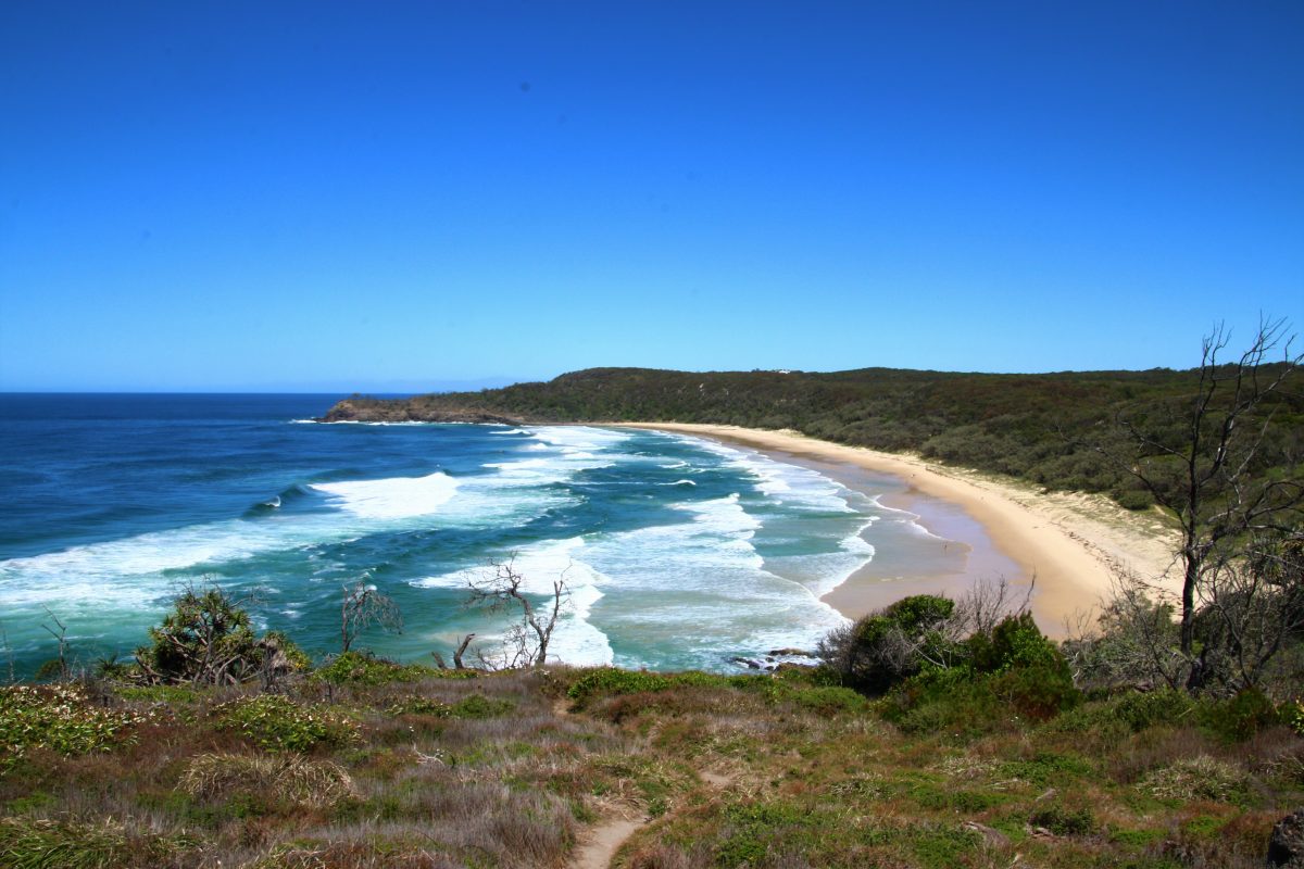 Alexandria Bay, Noosa National Park