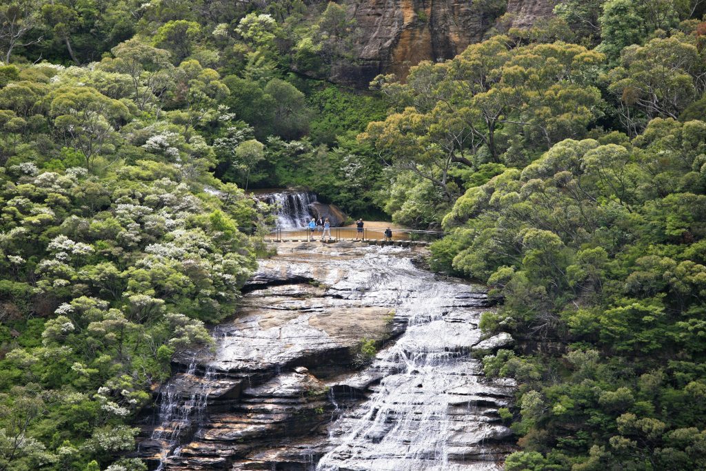 Wentworth Falls, Blue Mountians National Park