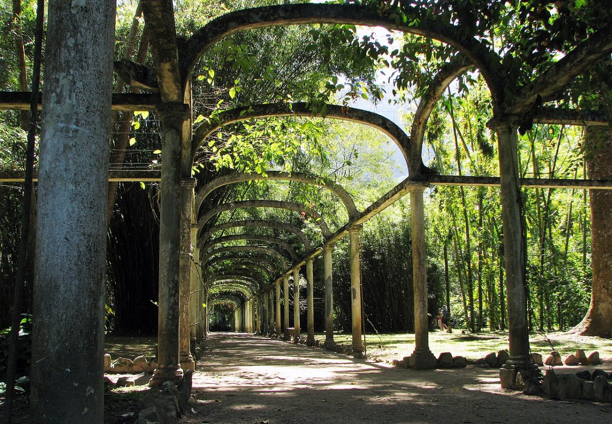 Rio de Janeiro’s Botanical Garden gathers over 6,500 species of Brazilian and foreign flora covering over an area of 54 hectares. 