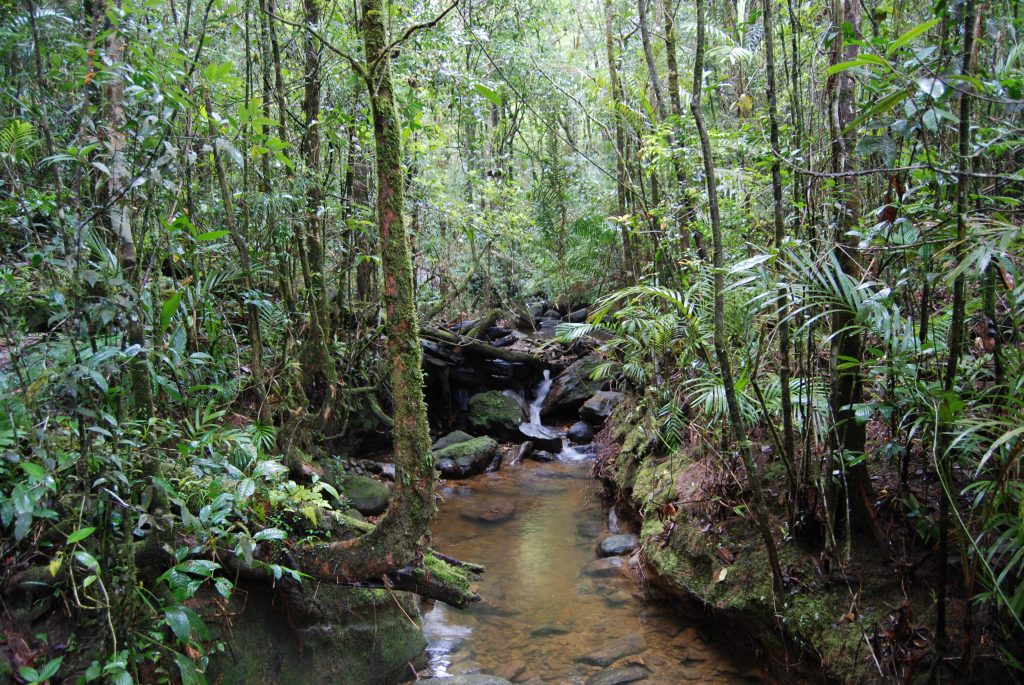 Kinabalu National Park, Kinabalu Park, sabah